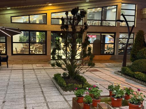 عکس اکبرجوجه برادران کلبادی