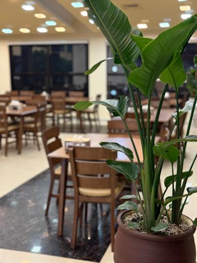 عکس اکبرجوجه برادران کلبادی