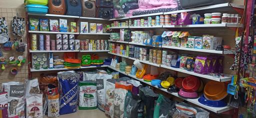 عکس پت شاپ پت‌لند