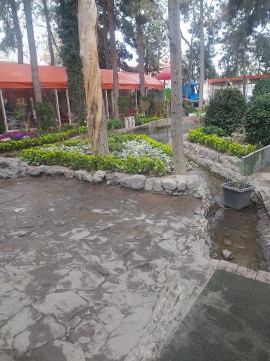 عکس پارک جنگلی شاندیز 