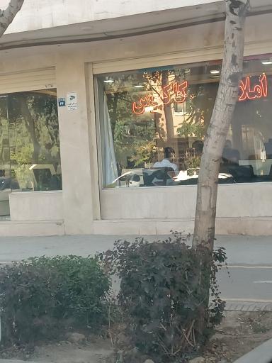 عکس مشاور املاک کاکتوس شعبه لاهور