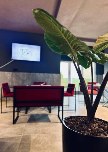 عکس کافه رستوران تن