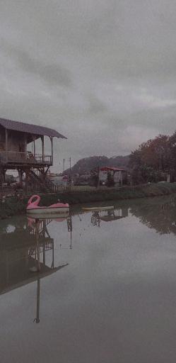 عکس کافه کبابی مازو