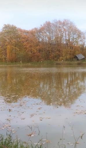 عکس کافه کبابی مازو