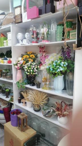 عکس گل فلامینگو 