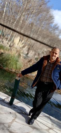 عکس پارک جنگلی شاندیز 