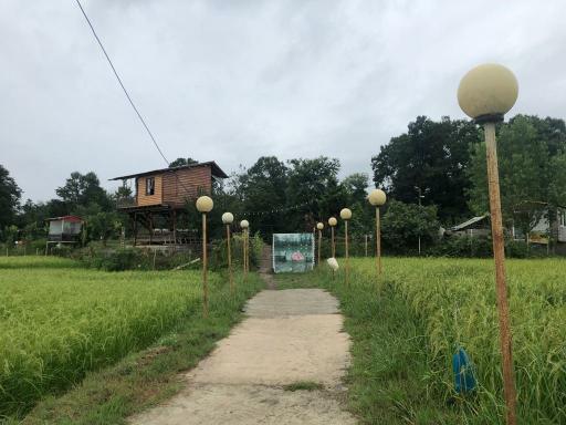 عکس کافه کبابی مازو