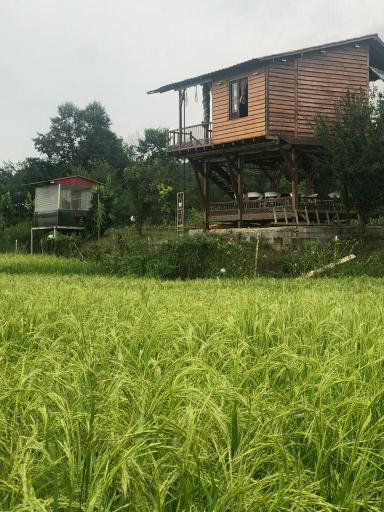 عکس کافه کبابی مازو