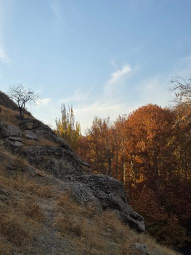 عکس پارک جنگلی شاندیز 