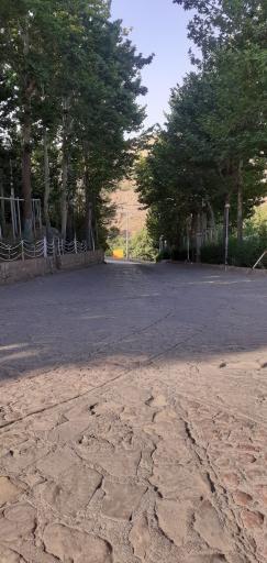 عکس پارک جنگلی شاندیز 