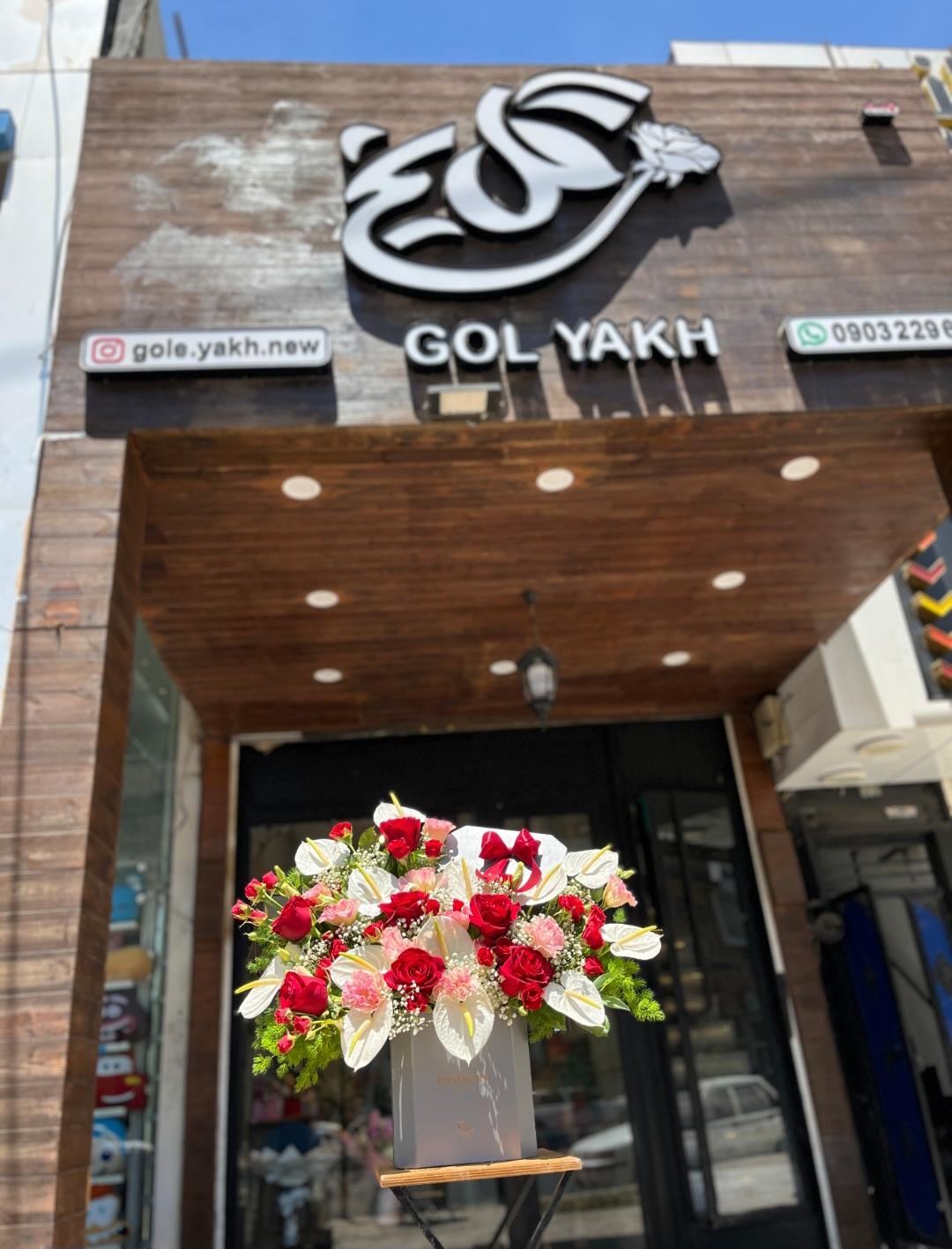 عکس گلسرای گل یخ