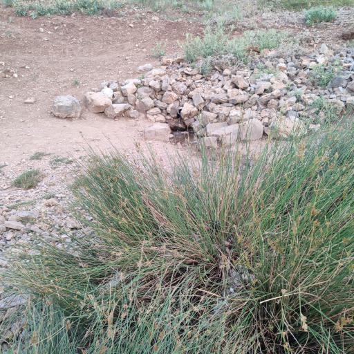 عکس چشمه خورخور