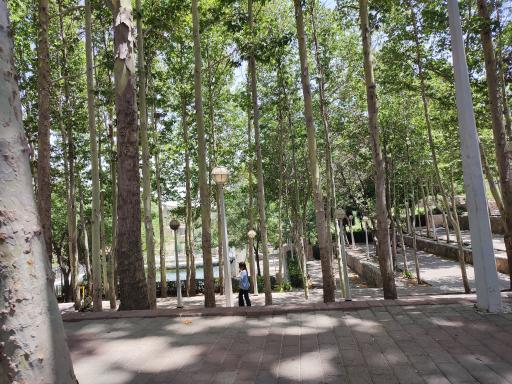 عکس پارک جنگلی شاندیز 