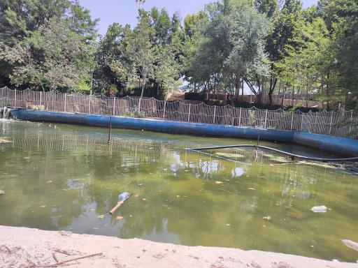 عکس پارک جنگلی شاندیز 