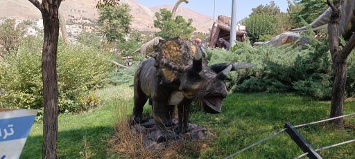 عکس جانگل لند