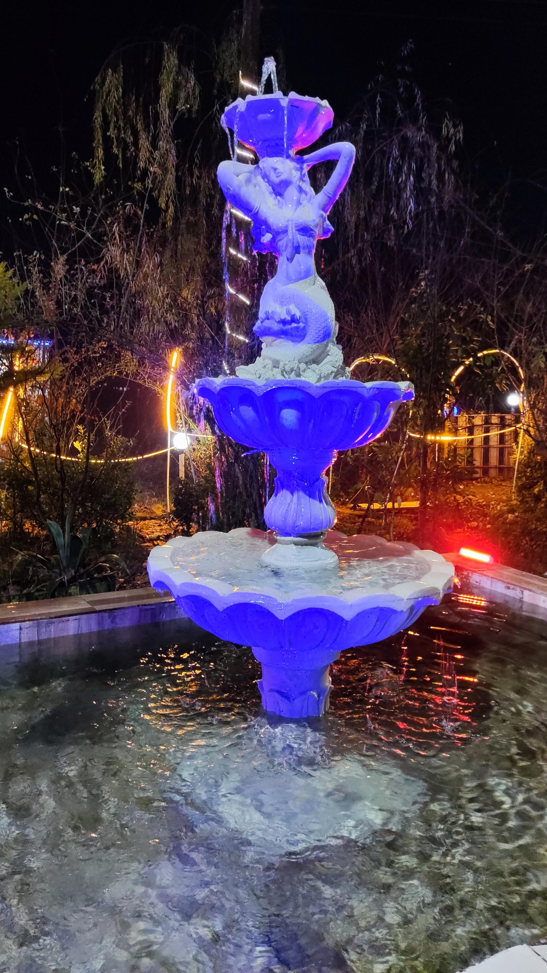 عکس کافه رستوران باغ صنوبر