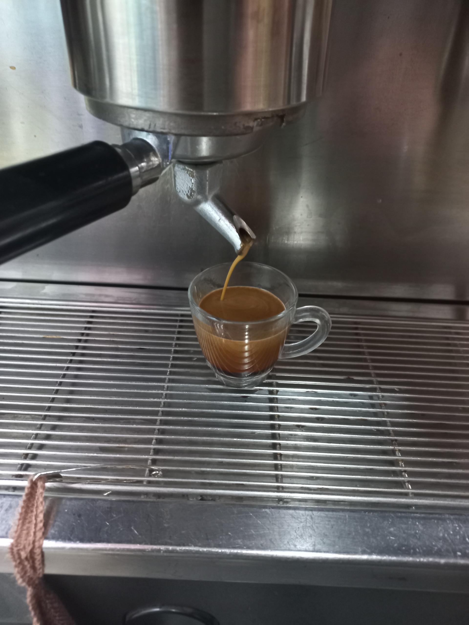 عکس قهوه تلخ رویان