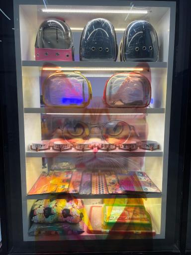 عکس پت‌شاپ پتونیا