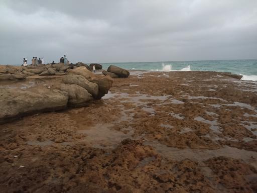 سواحل صخره ای چابهار 