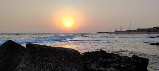 عکس سواحل صخره ای چابهار 