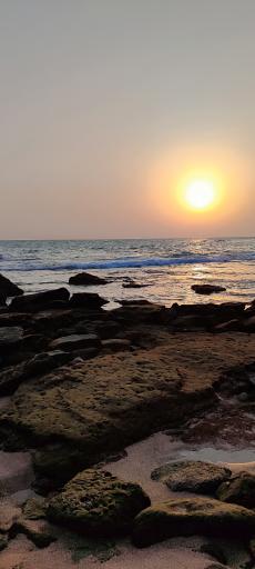 عکس سواحل صخره ای چابهار 