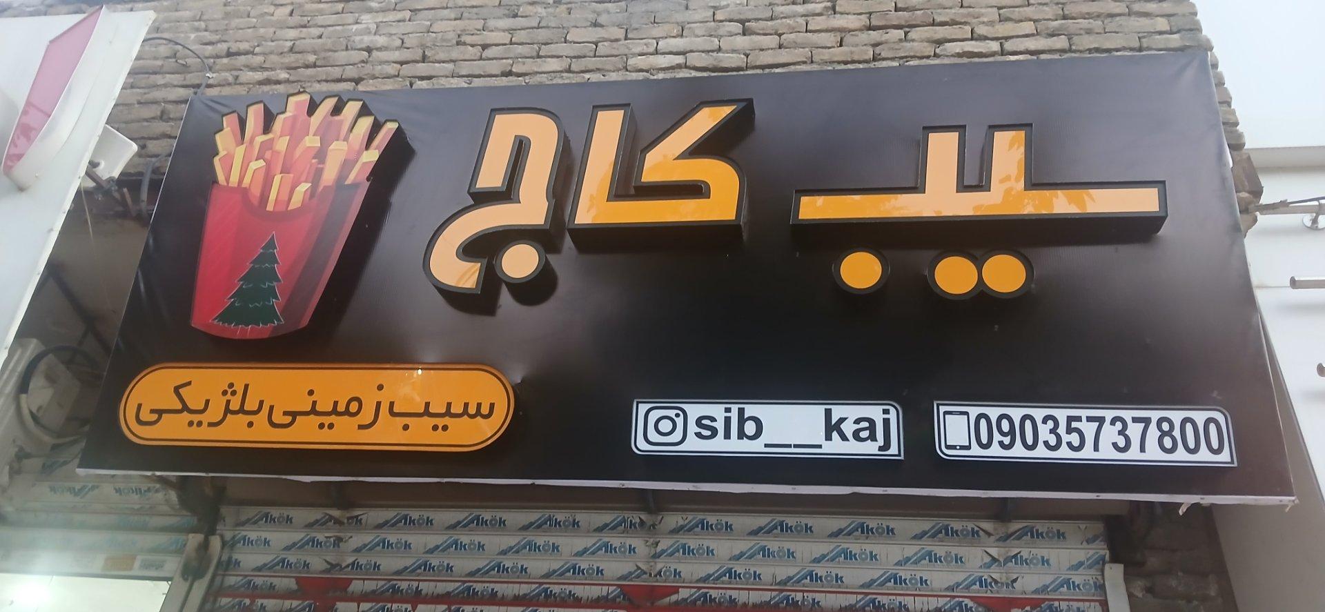 عکس سیب کاج