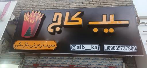 عکس سیب کاج