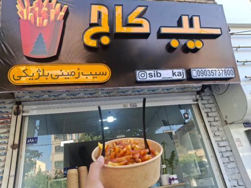 عکس سیب کاج
