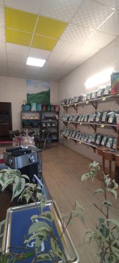 عکس  چای فرزاد