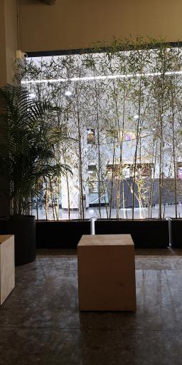 عکس قهوه لمیز