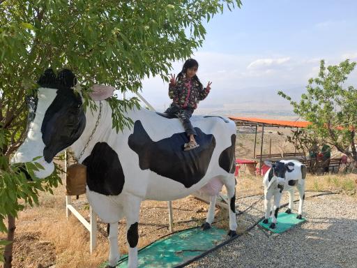 عکس هتل نمکی و مزرعه گردشگری خورشید
