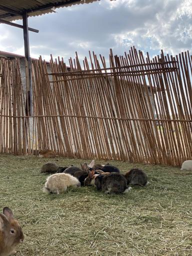 عکس هتل نمکی و مزرعه گردشگری خورشید