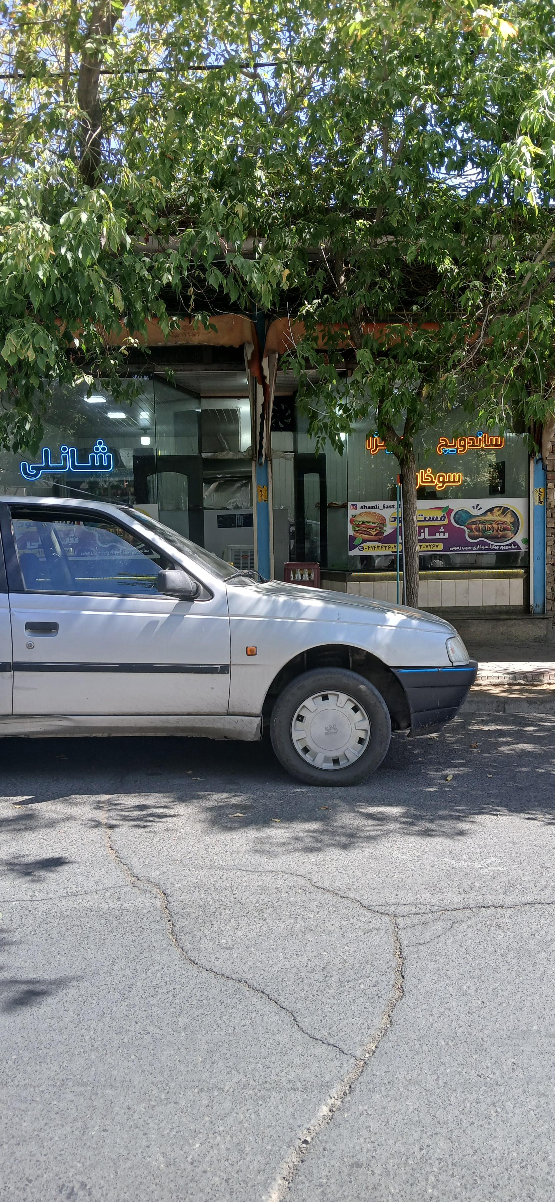 عکس ساندویچی پیتزا شانلی