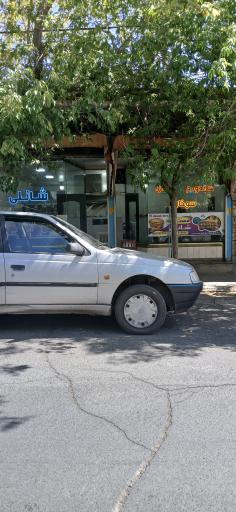 عکس ساندویچی پیتزا شانلی