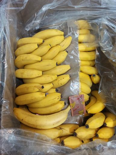 عکس میوه فروشی چهارفصل