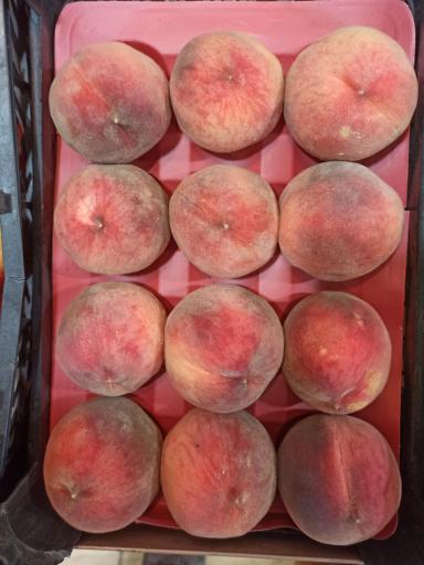 عکس میوه فروشی چهارفصل