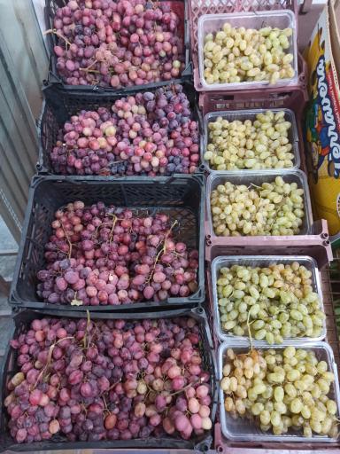 میوه فروشی چهارفصل