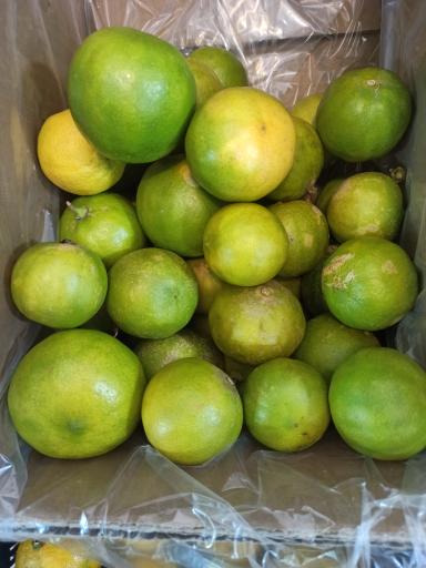 عکس میوه فروشی چهارفصل