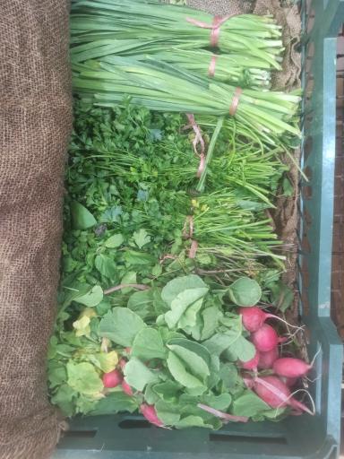 عکس میوه فروشی چهارفصل