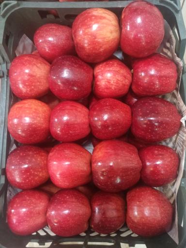 عکس میوه فروشی چهارفصل