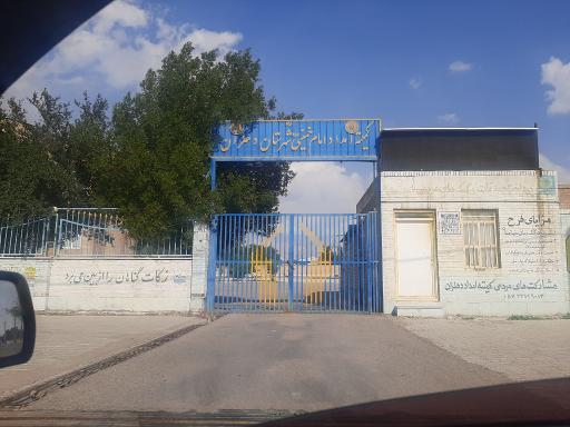 عکس کمیته امداد دهلران