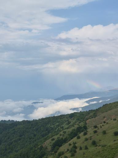 عکس فیلبند