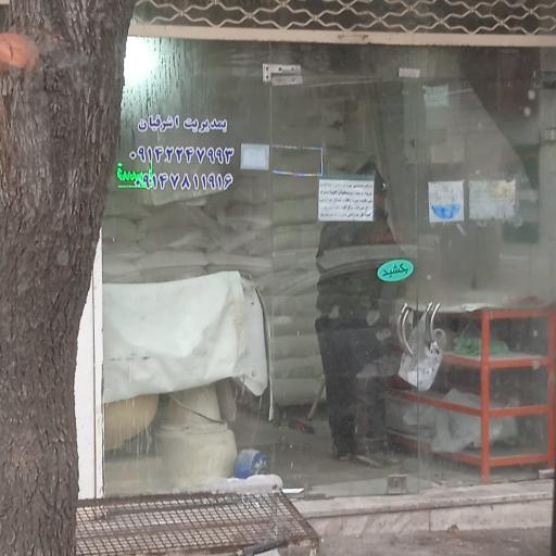 عکس لواش پزی اشرفیان