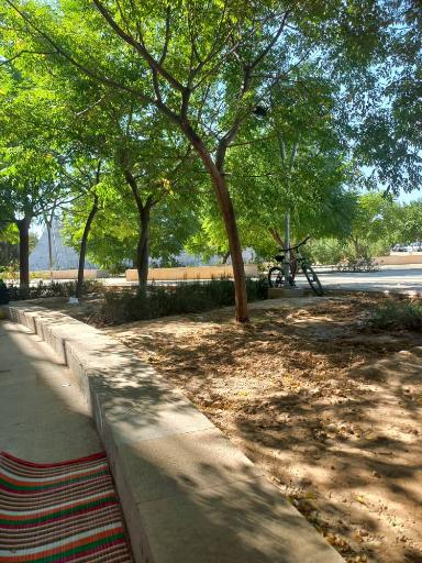 بوستان ولیعصر