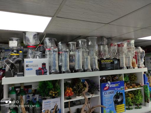 عکس آکواریوم نمو شرق