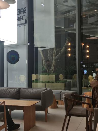 عکس کافه ساعدی نیا