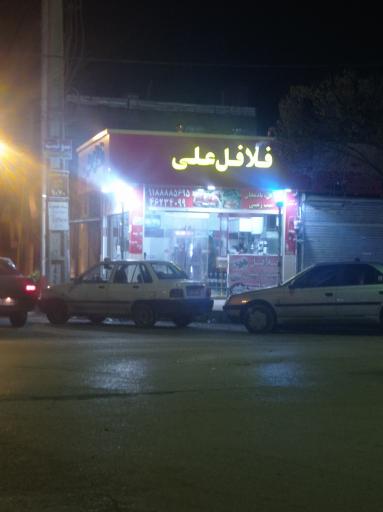 عکس فلافل علی