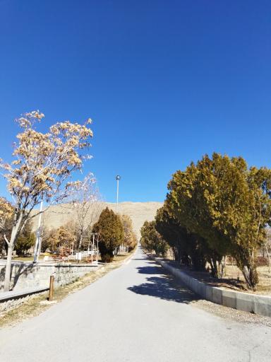 عکس پارک جنگلی تهلیجان - تله گون