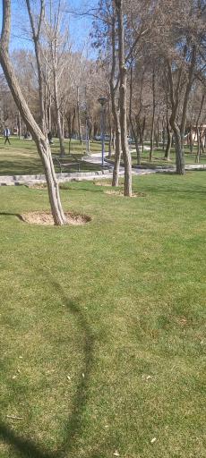 عکس پارک جنگلی تهلیجان - تله گون