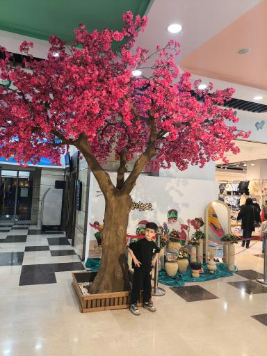 عکس مرکز خرید شاپرک